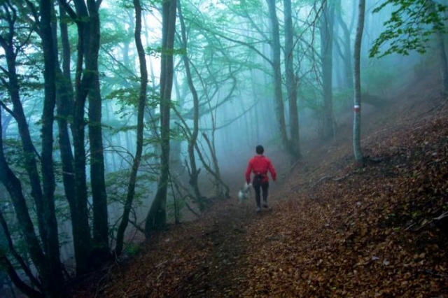 Bosc de Carlac